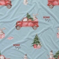 Personalized Christmas Delivery Baby Car Seat Cover