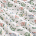 Baby Dinosaurs blanket personalized with Adam, featuring pastel green, blue, and peach dinosaurs, plants, eggs, and volcanoes.