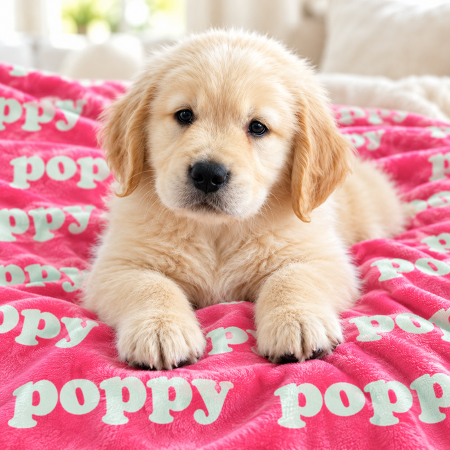 A golden retriever puppy lying on a bright pink blanket with the word 'poppy' printed repeatedly in soft mint.